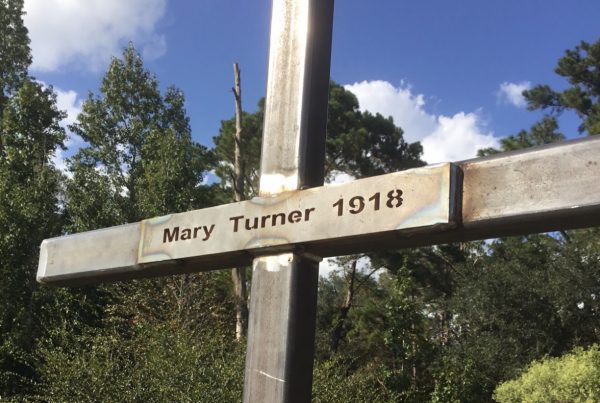 The new historical marker for Mary Turner and the Lynching Rampage in 2021. (Photo courtesy of the Mary Turner Project.)